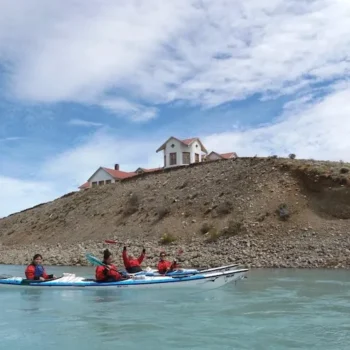 darwin-experience-2 darwin-experience-2