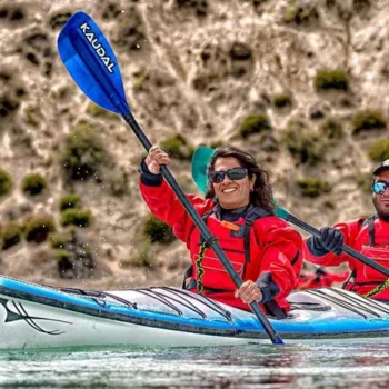 darwin_experience_2-e1629735986571 darwin_experience_2-e1629735986571