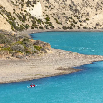 darwinexp-1024x1024-1 darwinexp-1024x1024-1