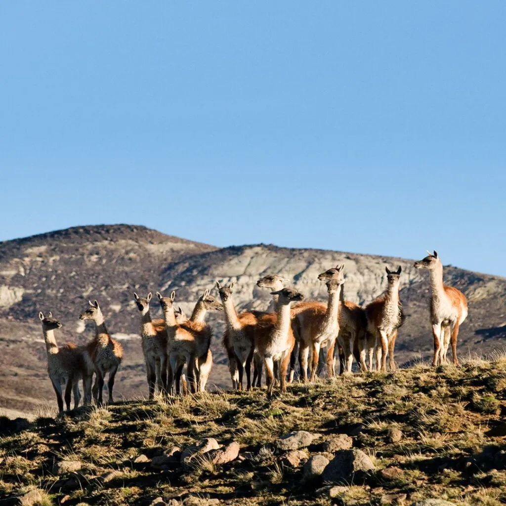 safari_experience_5 safari_experience_5