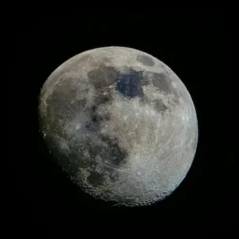 CALAFATE-NIGHT-1 CALAFATE-NIGHT-1